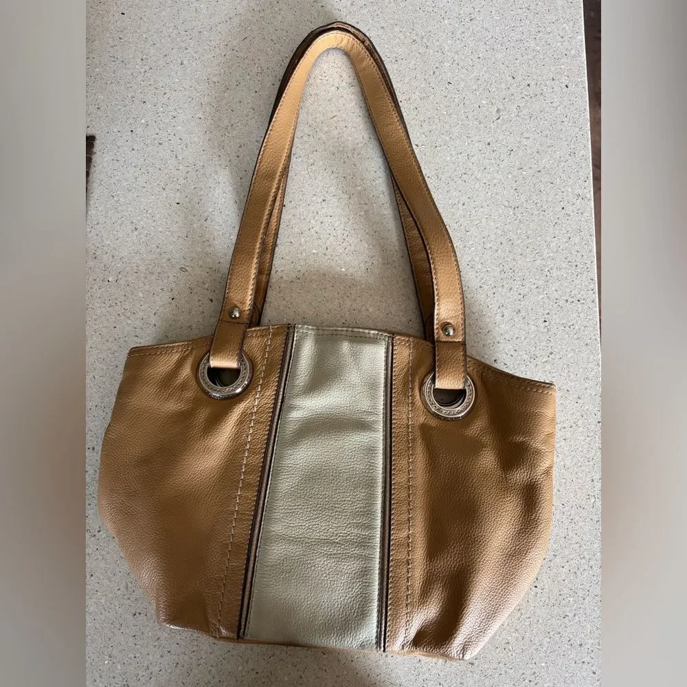 Elegant Tan and Silver Women's Shoulder Bag by Tignanello